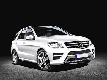 MERCEDES-BENZ ML 250 BlueTEC 4Matic Sport