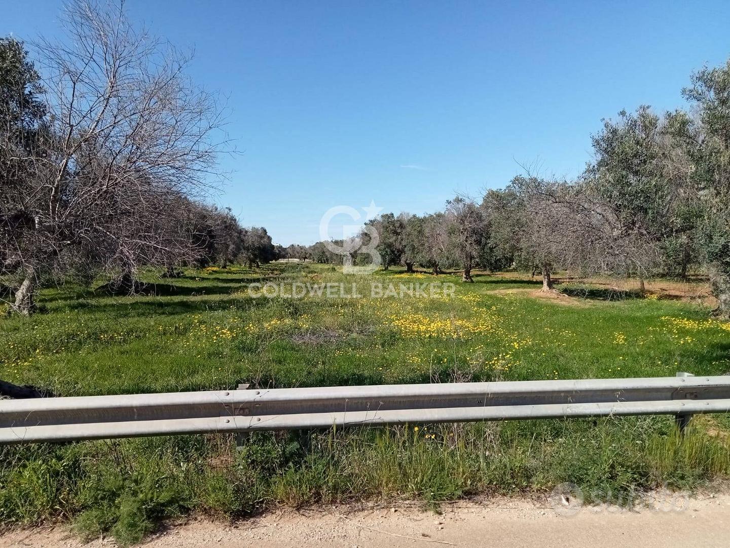 Terreno agricolo - Carovigno - Altro