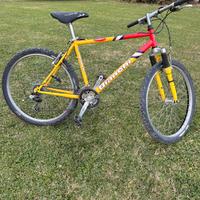 Mountain-Bike BIANCHI