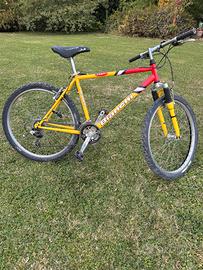 Mountain-Bike BIANCHI