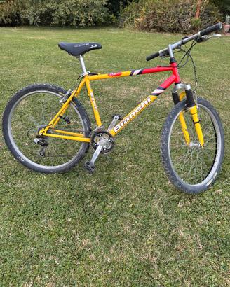 Mountain-Bike BIANCHI
