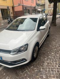 Polo 1,4