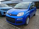 fiat-panda-pandina-1-0-firefly-65-cv-hybrid-icon-n
