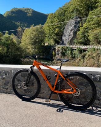 Muontain bike tg M