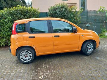 FIAT Panda serie 3 1.2 69 CV 2019
