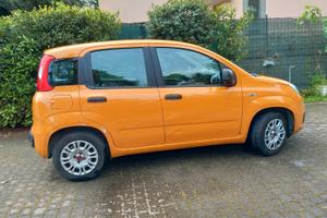 FIAT Panda serie 3 1.2 69 CV 2019
