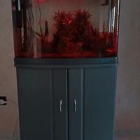Acquario con mobile