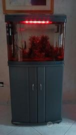 Acquario con mobile