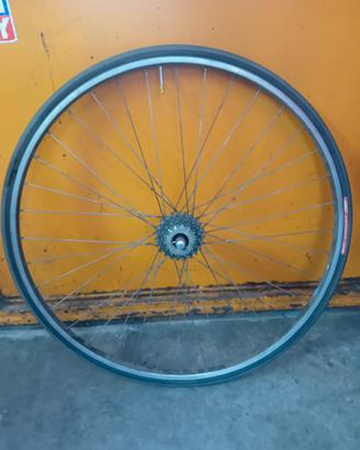 ruota campagnolo