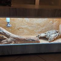 TERRARIO PER RETTILI