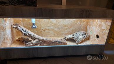 TERRARIO PER RETTILI