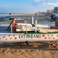 Moscone con carrello motorizzato