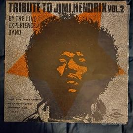 disco 33 giri Jimi Hendrix 