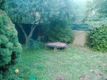 Gioco salta salta