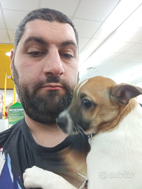 Autista patente b, magazziniere, scaffalatore