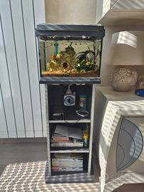 Acquario tetra 20 litri 