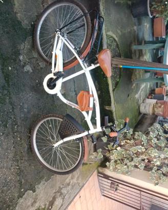 Bicicletta