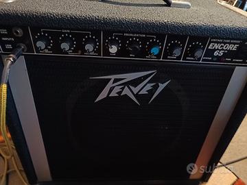 amplificatore valvolare per chitarra peavey 