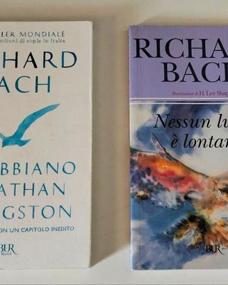 Bach: Il Gabbiano Jonathan, Nessun luogo è lontano