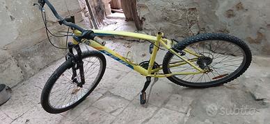 Bicicletta terapia 