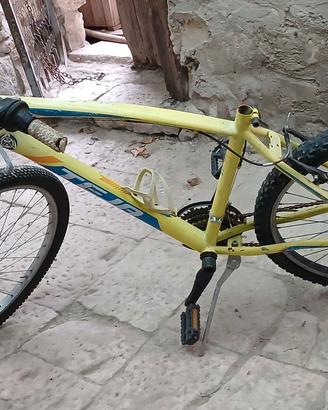 Bicicletta terapia 