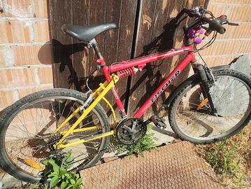 bicicletta 