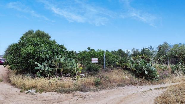 Terreno agricolo di 3000 mq