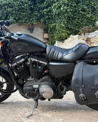 Harley Davidson Sportster XL 883 N Iron
