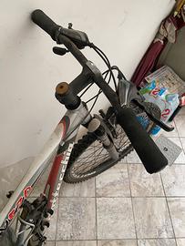 Bicicletta bottecchia fx520