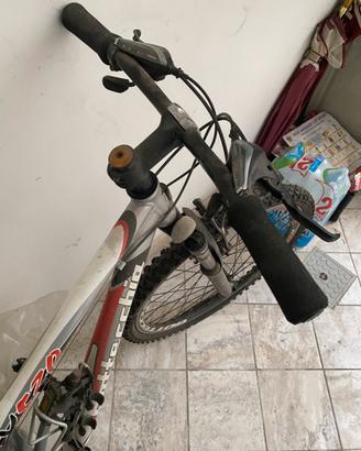 Bicicletta bottecchia fx520