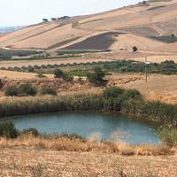 Azienda agricola Sambuca di Sicilia (AG)