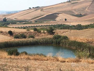 Azienda agricola Sambuca di Sicilia (AG)