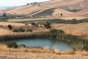Azienda agricola Sambuca di Sicilia (AG)