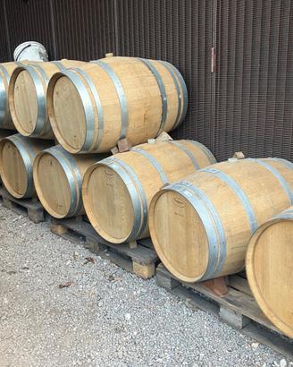 Botte Barrique Holzfass