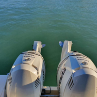 Coppia Motori Evinrude 150 etec