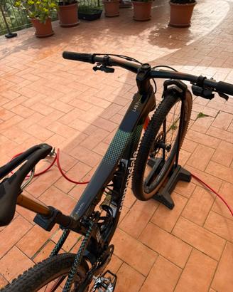 Cannondale lab 71 top di gamma