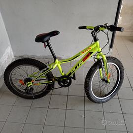 Mountain bike raggio 20"