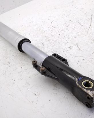 DUCATI MONSTER 600 STELO CON TRACCE DI RUGGINE FOD