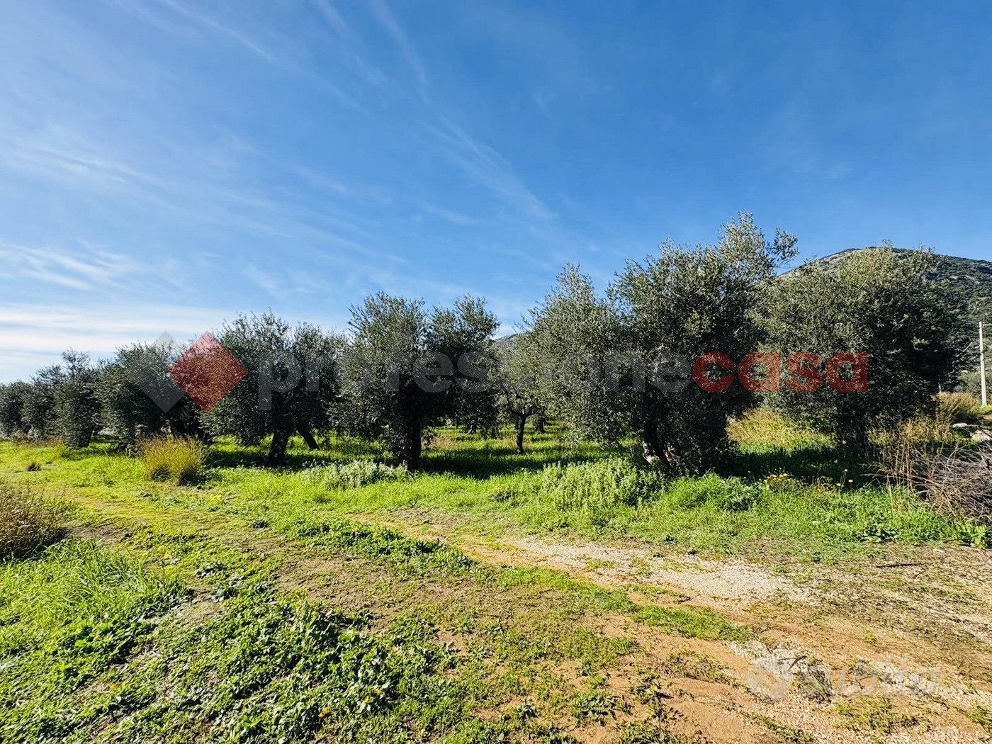 Terreno Agricolo Terracina [Cod. rif 3290200VCG] - Altro