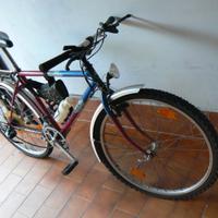 Rover Wheeler 3500 mountain bike shimano equipper