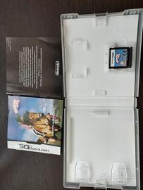 gioco nintendo ds