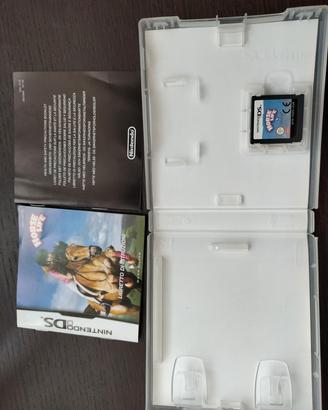 gioco nintendo ds