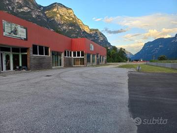 Capannone con accesso diretto a Strada Statale
