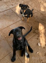 Sorelline tutte baci