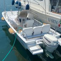 Boston Whaler 17 con carrello