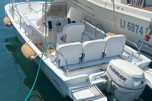Boston Whaler 17 con carrello