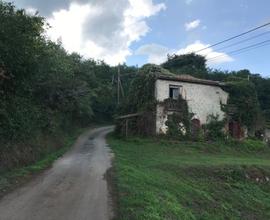 Terreno Edificabile con elevata cubatura