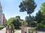 Immagine 8