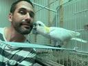 cacatua-galerita-ed-altri-pappagalli
