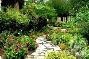 Rustico a Rovolon (PD) - Bastia